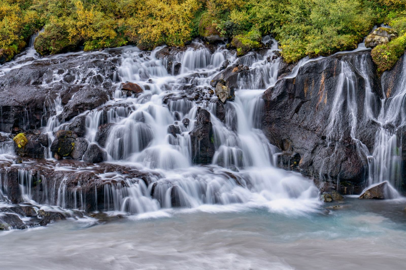 Hraunfossar waterfalls cascading over dark lava rocks with autumn foliage above