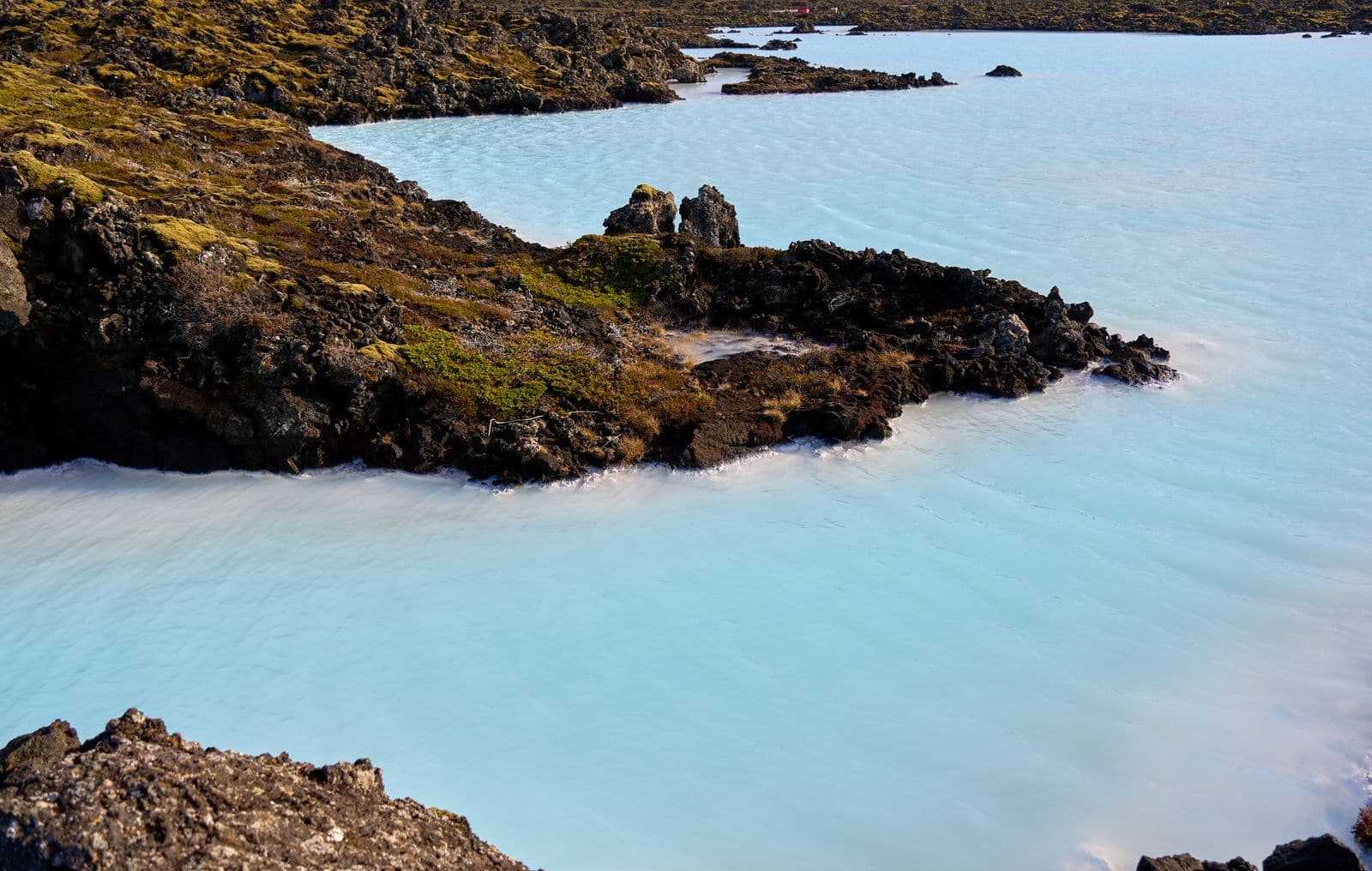 Pale turquoise geothermal water meeting mossy black lava rocks near the Blue Lagoon in Iceland