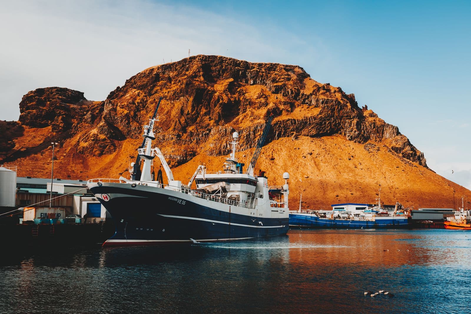 Fishing vessels moored in the harbour of Vestmannaeyjar on Heimaey beneath a steep cliff lit by low sun