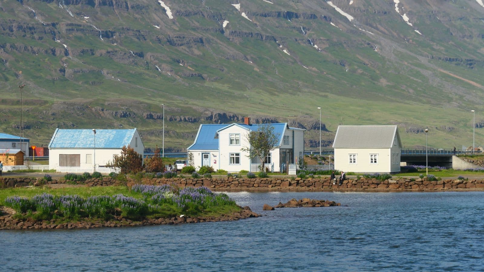 White timber houses with blue and grey roofs beside the water in Seyðisfjörður, with lupins in the foreground and a green mountainside behind